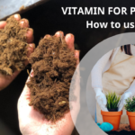 VITAMIN FOR PLANTS - HOW TO USE